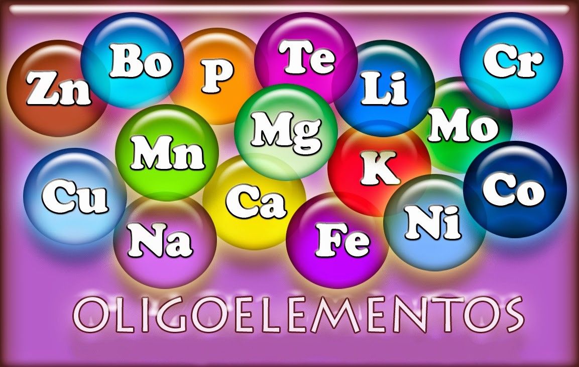 oligoelementos