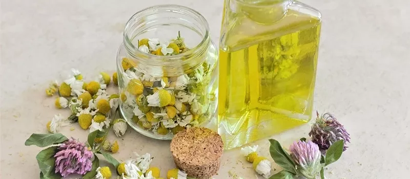 Centro de naturopatía en Valladolid