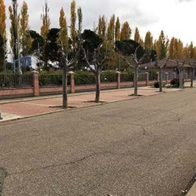 naturopatía en Valladolid