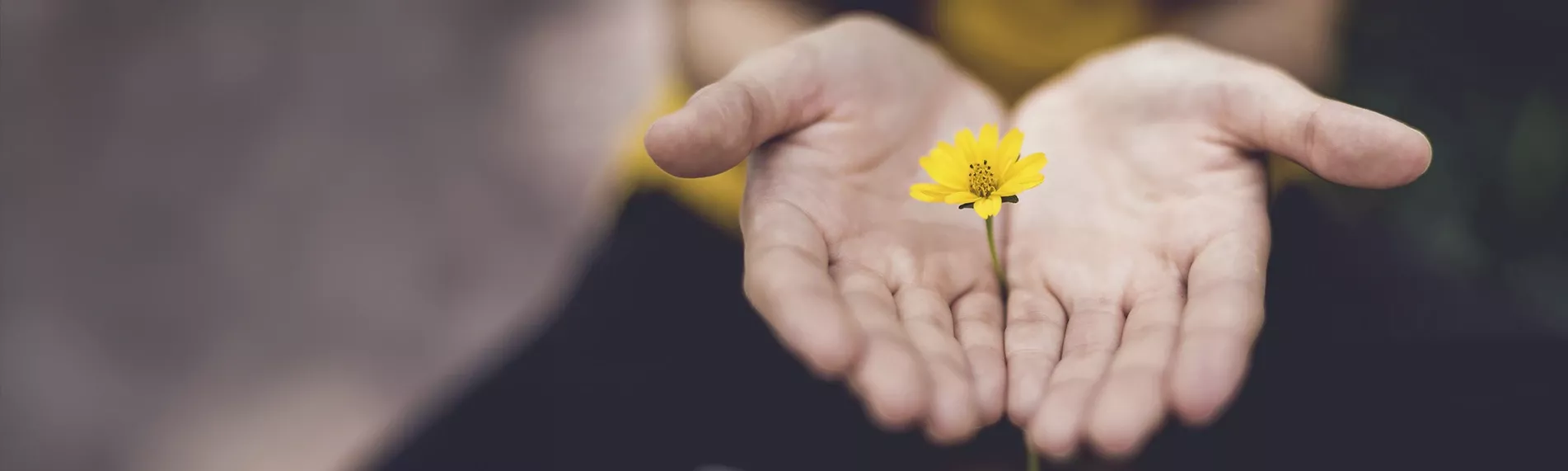 Localización del Centro de Naturopatía