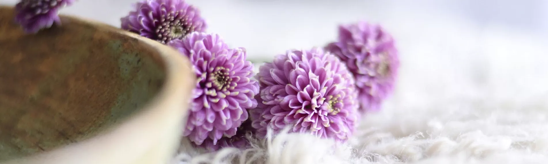 Centro de Naturopatía  Valladolid